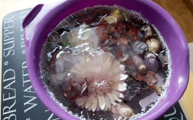 Blommor och annat smått och gott inpackade i is.