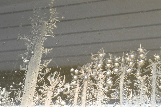 Ser ut som en skog med träd av is.