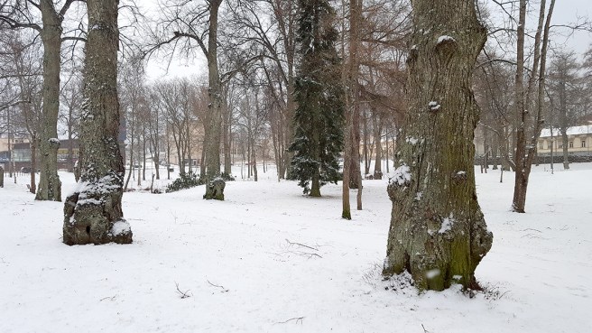Går ofta genom Kapellparken och har visat en och annan bild härifrån.