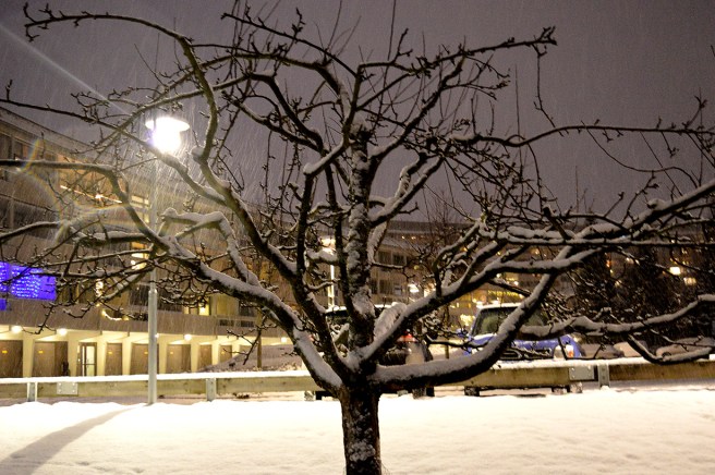 Ville spara min favoritbild till sist. En kollega har hjälpt mig med inställningar på kameran så nu får jag ibland lyckade bilder i mörkret utan blixt. En vy från Grindtorp i Täby.