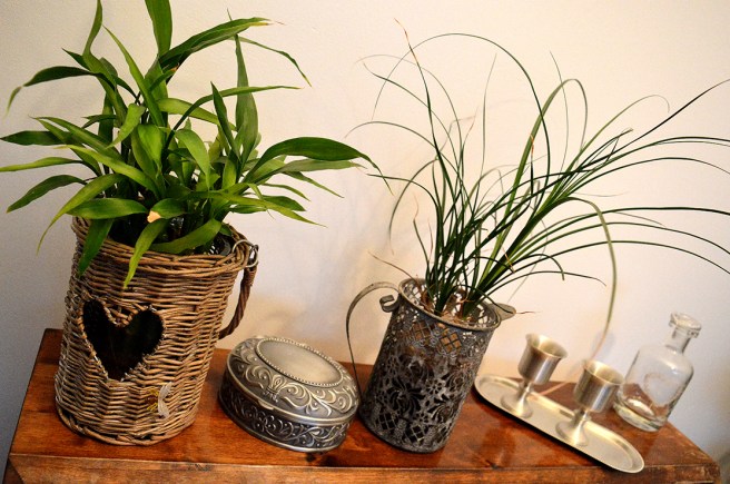 Vill snart köpa fler grönväxter.