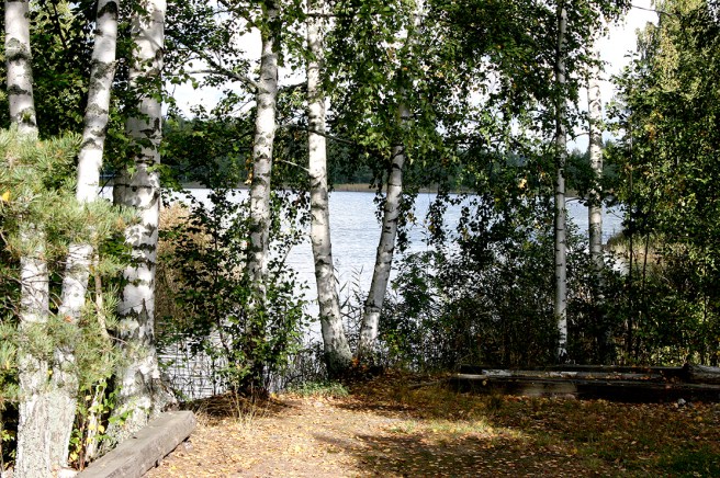 Det kommer att se ut så här, om fyra månader ungefär :-)