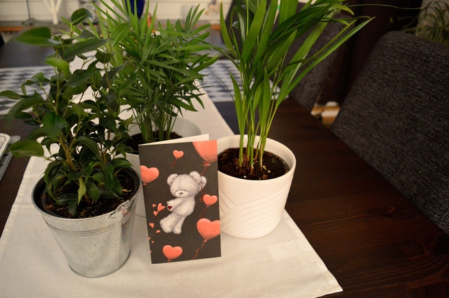 Nya växter och ett kort inför alla hjärtans dag.