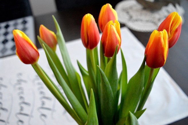tulpaner