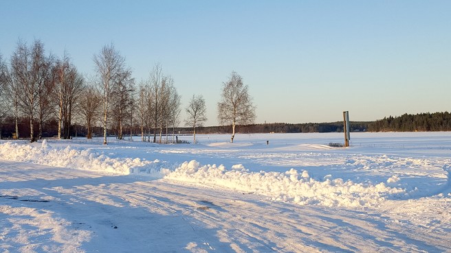 Bakom träddungen och till höger på bilden ligger Lovisaviken, nu under is.