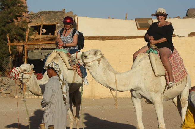 En gungig och spännande tur väntar.