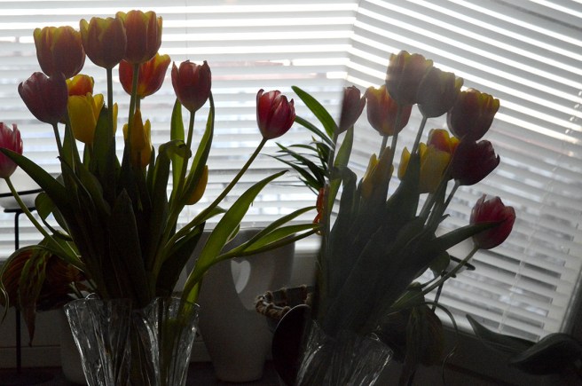 Ibland finns motiven bara där, nästan rakt under ens näsa.