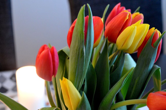 Tulpaner kan man inte få nog av under våren.
