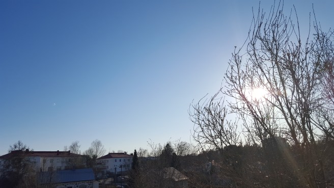 Om det regnar småspik eller kommer snö i morgon ska jag återgå till den här bilden för att förstå att vi faktiskt hade vårvärme i dag.