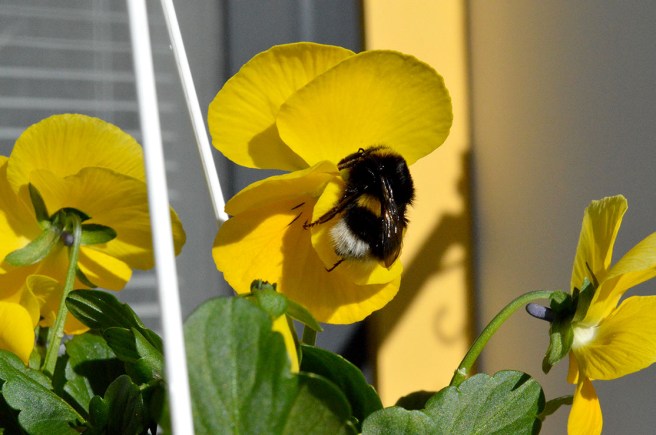 Någon annan än bara jag gillade den :-)