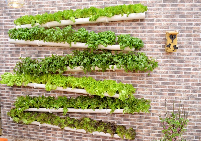 Har du överlopps hängrännor på lager? Plantera kryddor, sallader eller blommor i dem!