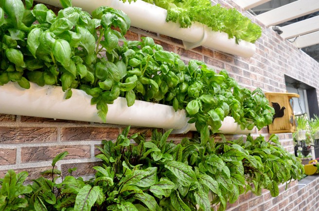 Låt dem luta lite så rinner överlopps vatten bort. Frodigt och snyggt!