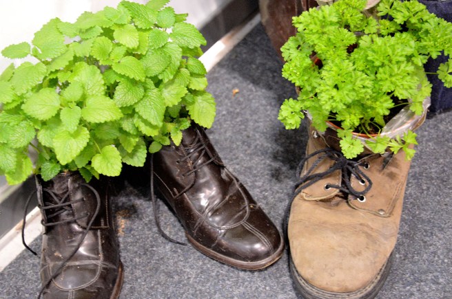 ... eller varför inte sätta kryddor eller små blommor i ett par avlagda skor?