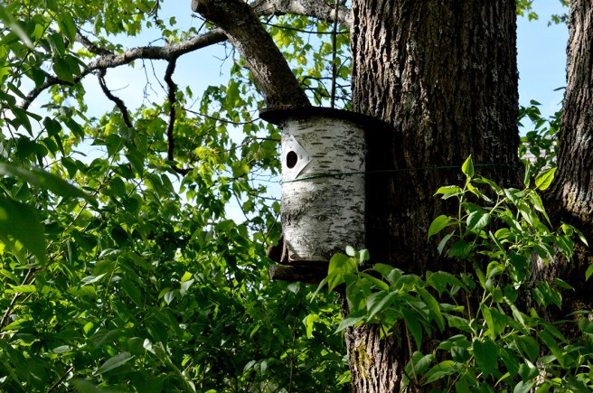 Tänk om man kunde flytta in här?