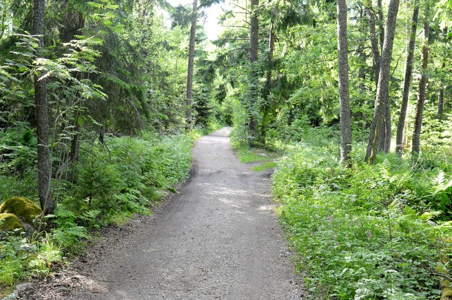 Livets stig i skogen. Ingen vet vad som väntar bakom kröken.