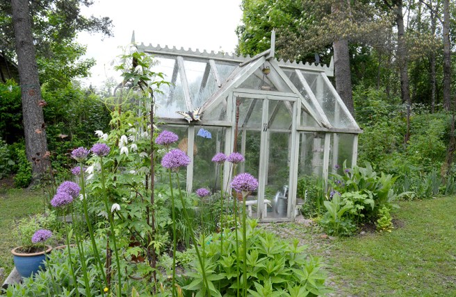Ett växthus på Kungsdammens gård.