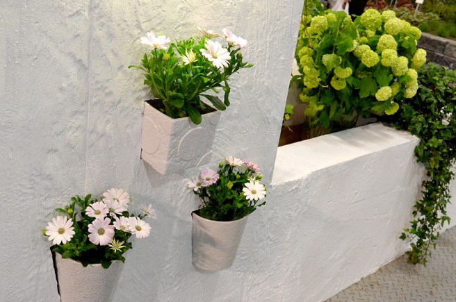 Har man en vitkalkad vägg eller mur så blir det ju nästan som i Grekland med några fina planteringar så här.