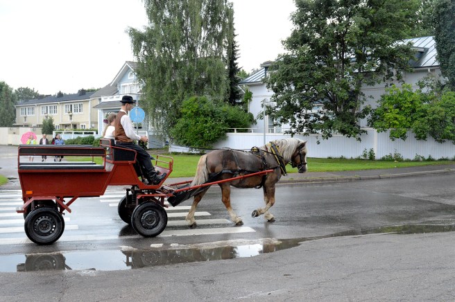 Under rosornas helg kunde man åka med häst och kärra.
