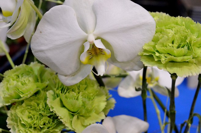 Ytterligare ett opublicerat minne från trädgårdsmässan i Tammerfors i april.