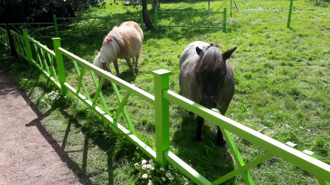 Bilden är tagen under inspelningen av Ada och Glada där media fick vara med en dag.