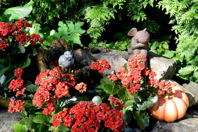 Här kunde blicken vila på vackra detaljer bland växterna.