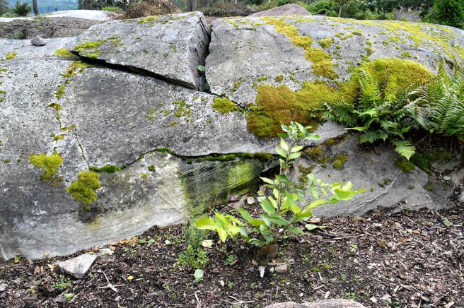 Bergsklackar, murar, mossa. Älskar dem.