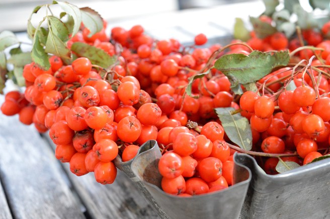 En bordsdekoration på cafeterian Tuhannen Tuskan Kahvila.