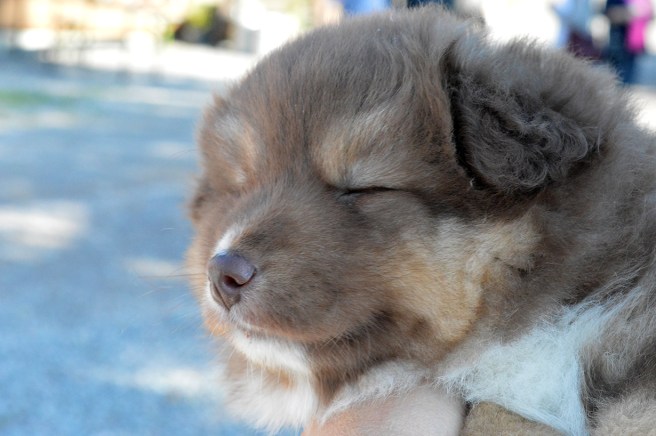 Försöker du få en fin bild av mig? Då blundar jag!