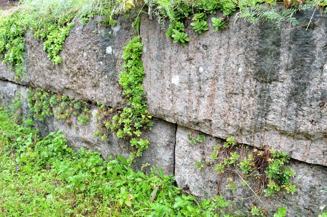 Det finns något vackert och oemotståndligt i gamla stenfötter och murar.