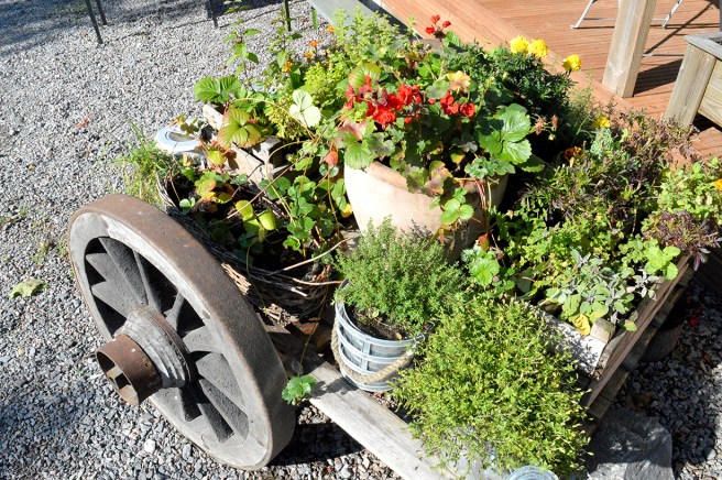 Ett minne från Trädgårdsföreningens resa i augusti.