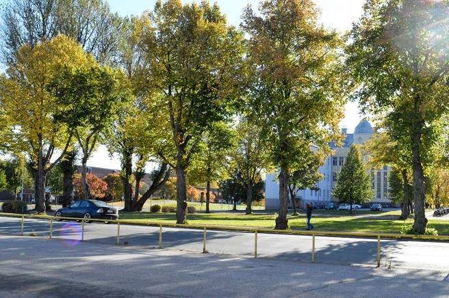 Parken och fortfarande gymnasiet i bakgrunden och längst till vänster idrottshallen.