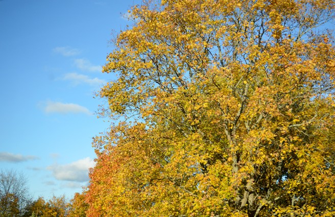 Utsikten snett mot vänster, väderstrecket är nordost.