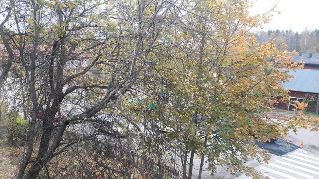 Asfalteringsarbeten på gång.