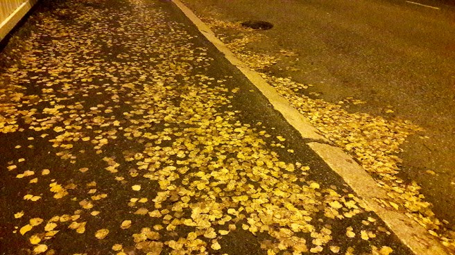 31 oktober såg det ut såhär på marken då jag gick hem en kväll.