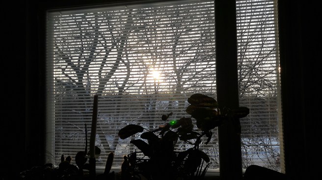 Den där lilla gröna pricken tror jag är en ängel, för där fanns nog inget fordon med grön lampa på gården i bakgrunden.