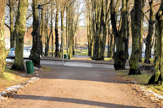 Ankarparken heter den där jag står, Polisparken lär den andra heta.