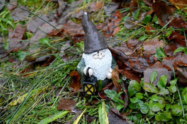 En månade kvar till jul. Vädret hinner arta sig, eller så inte... :-)