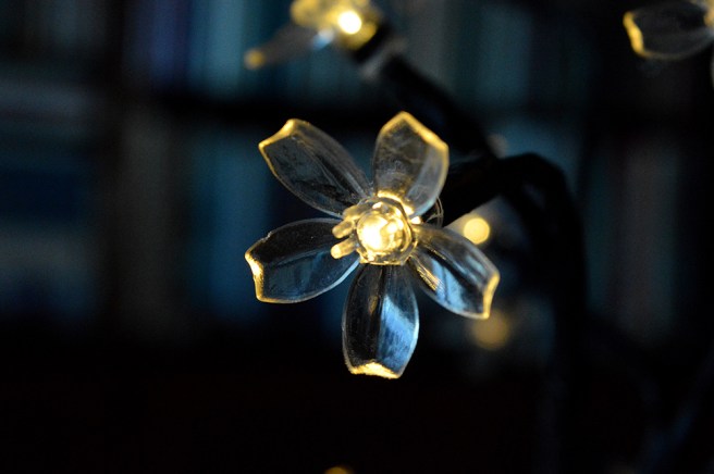 Lysande blomma hos vännen Inga i Sverige.