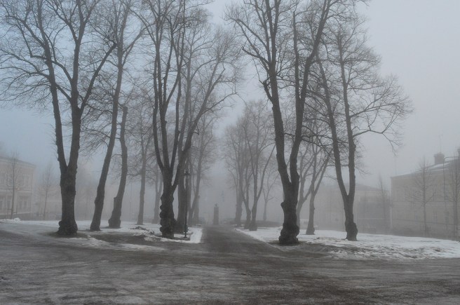 Kyrkoparken höljd i dimma. De svarta trädstammarna avtecknar sig fint.