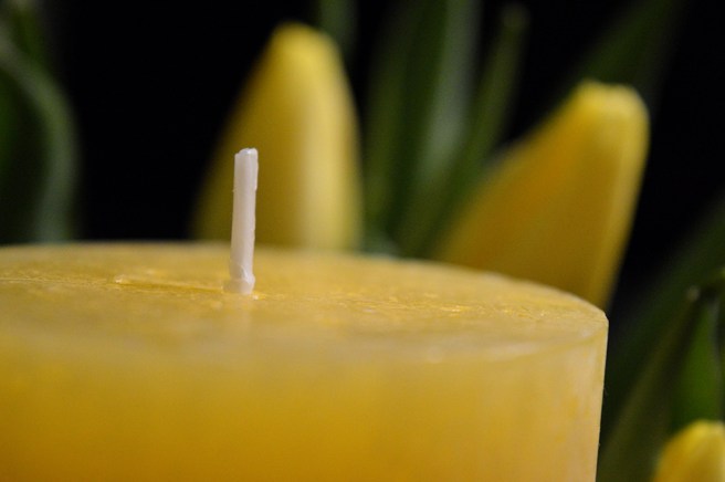 Vi går sakta men säkert en ny vår till mötes.