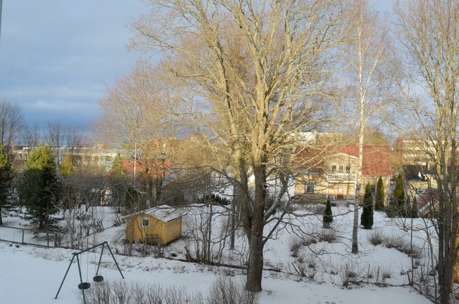 Så vackert med sol mot trädstammarna.