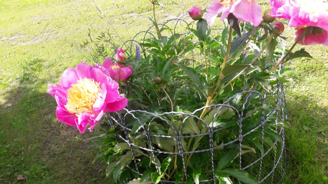 1500810429189-275426252